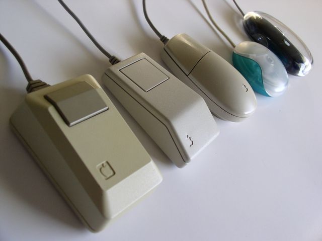mouse